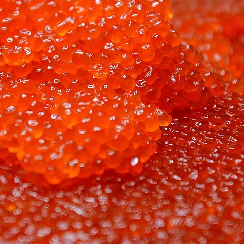 Икра кижуча цена за 1 кг Камчатка