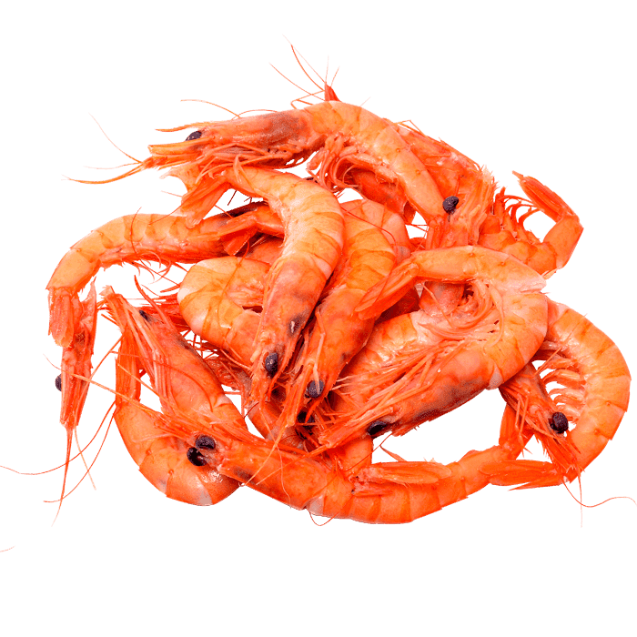 Доставка морепродуктов на дом