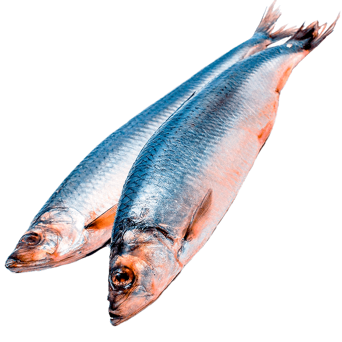 Доставка соленой рыбы