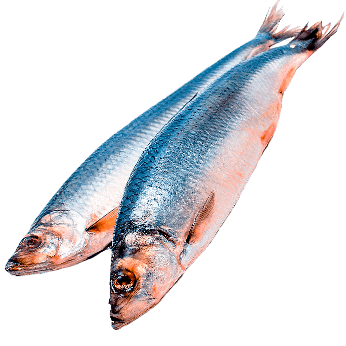 Доставка соленой рыбы