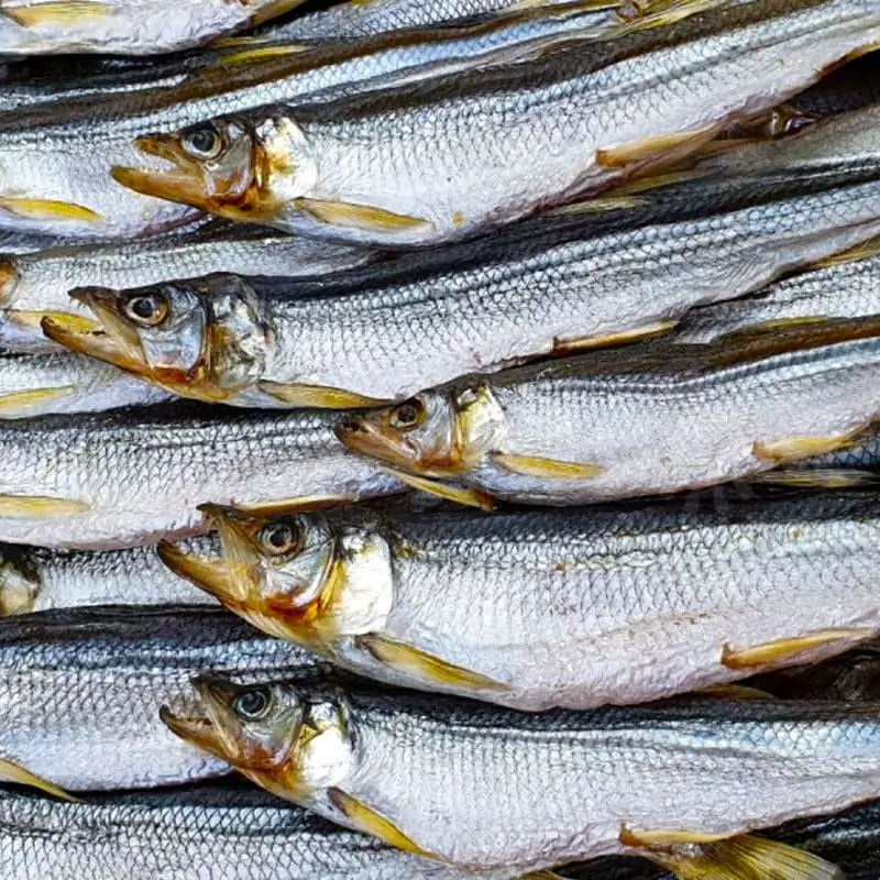 Купить крупную отборную корюшку икрянку в Интернет магазине с доставой