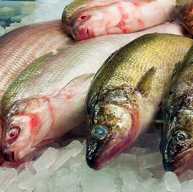 Купить охлаждённую рыбу в интернет магазине с доставкой на дом