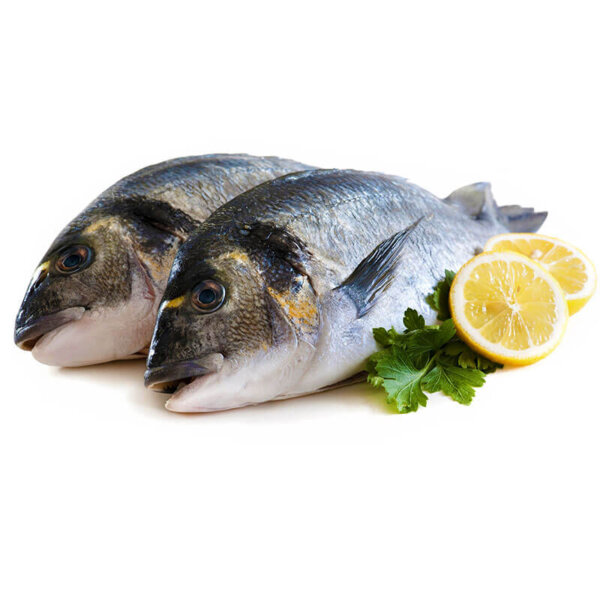 Рыба дорадо цена за кг в интернет-магазине