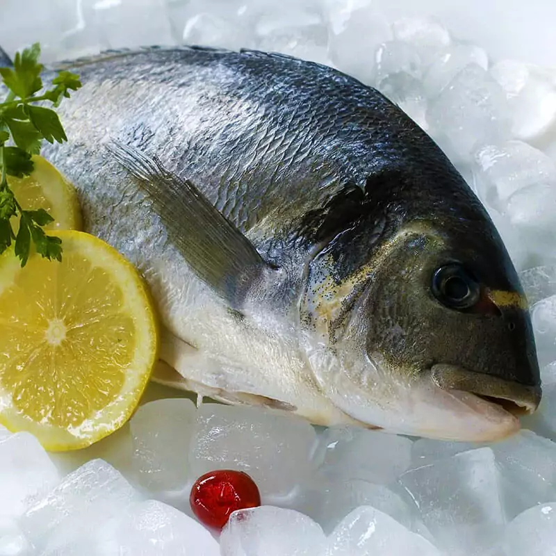 Охлажденная рыба дорадо с доставкой на дом