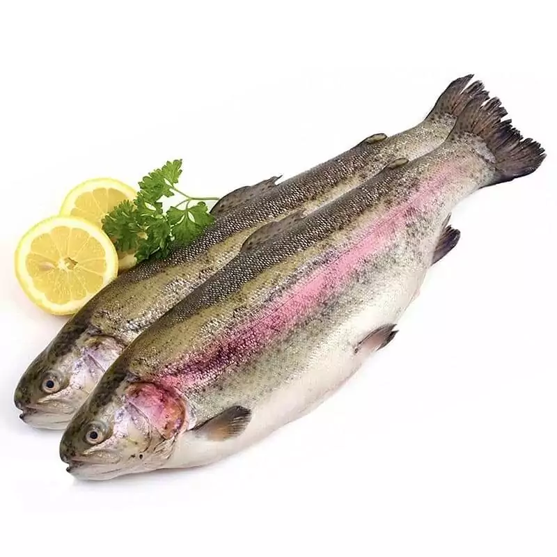 Где купить радужную форель свежую охлажденную недорого