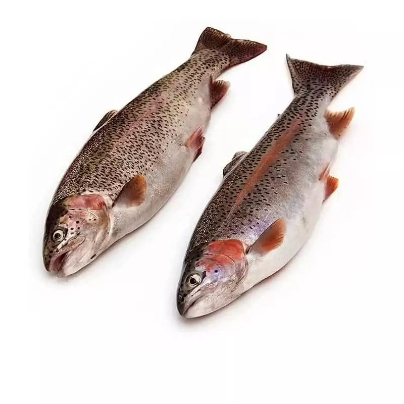 Купить радужную форель в интернет магазине с доставкой на дом