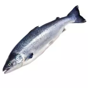 Купить охлажденную семгу с доставкой в интернет-магазине