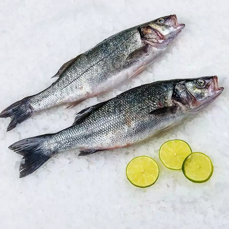 Купить охлажденную сибас недорого