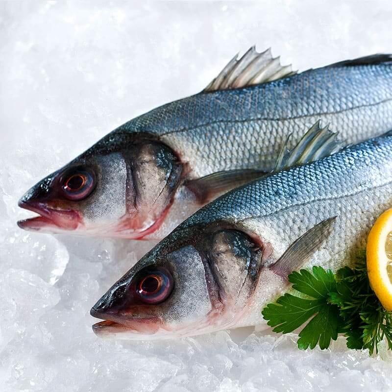 Сибас: морская или речная рыба? Все, что вам нужно знать