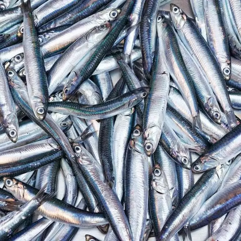 Слабосолена хамса цена в интернет магазине за 1 кг