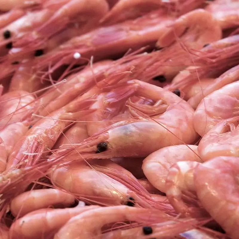 Креветки полар цена