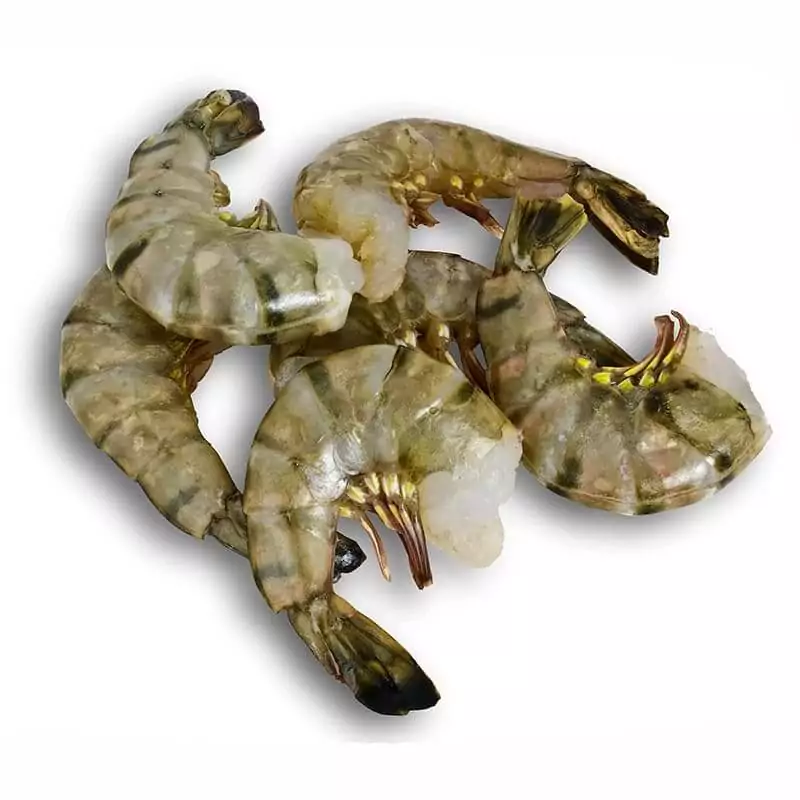 Купить креветки тигровые без головы 16-20 в интернет магазине с доставкой на дом