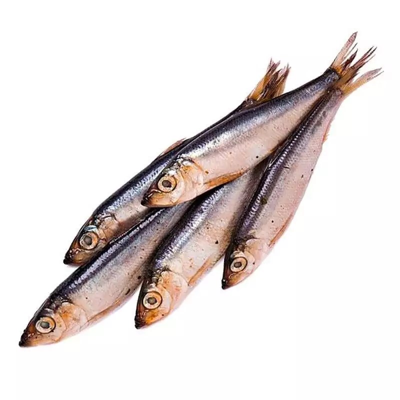 Купить салаку недорого