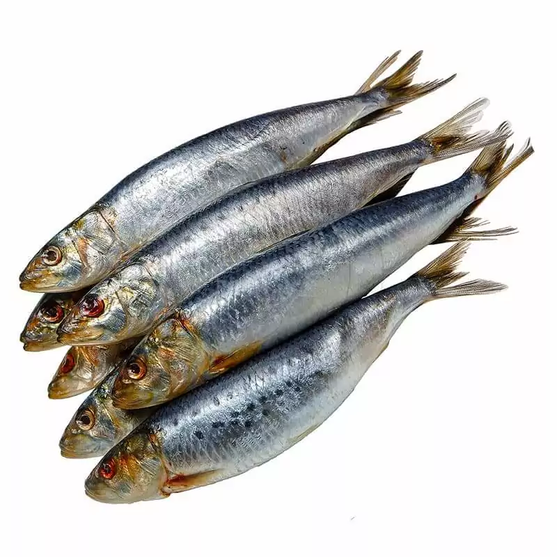 Купить сельдь иваси слабосоленую недорого с достакой в Москве