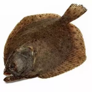 Купить камбалу сухой заморозки с доставкой