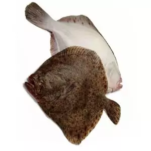 Свежемороженная камбала купить.