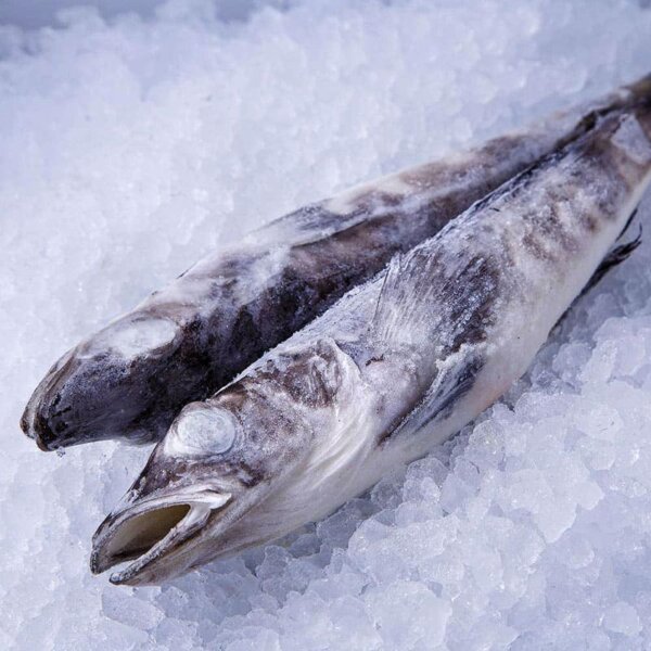 Ледяная рыба цена в Москве.