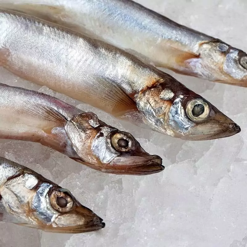 Замороженная мойва цена за 1 кг