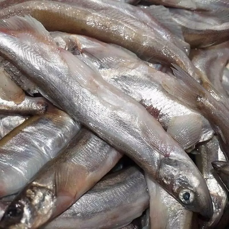 Мойва цена в Москве