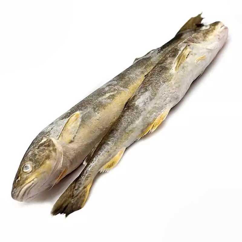 Навага свежезамороженная