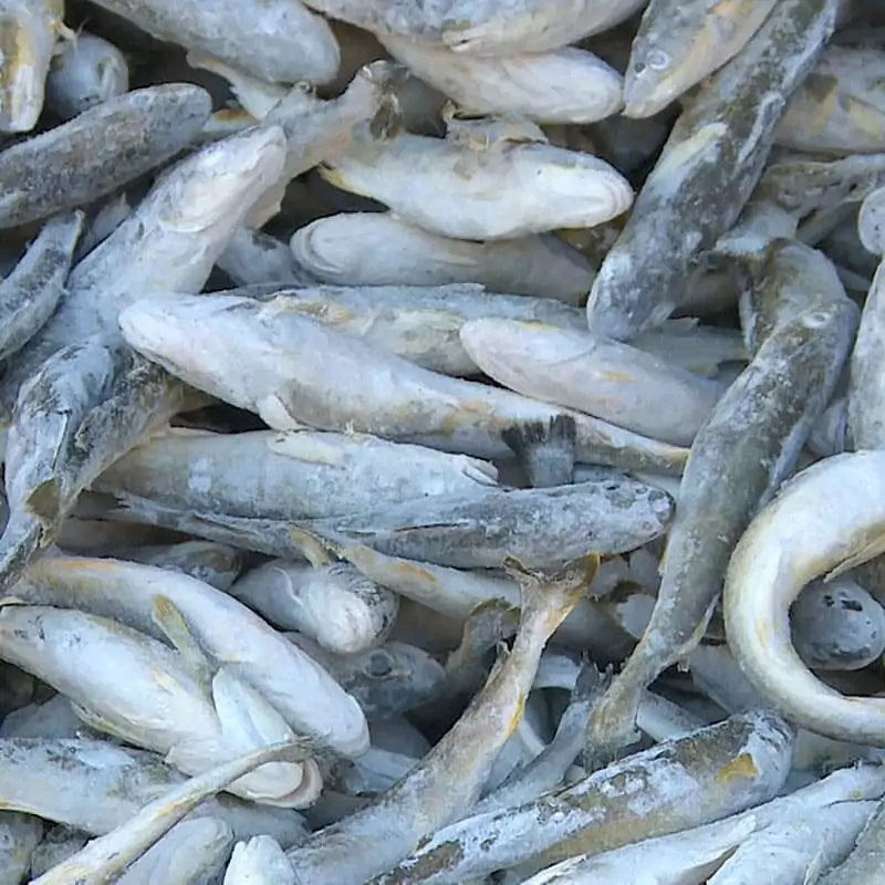 Навага замороженная на судне