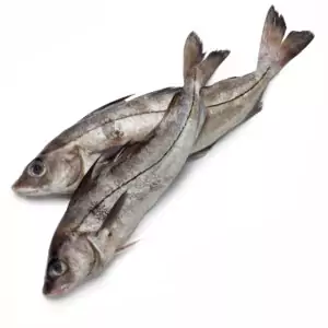 Рыба пикша замороженная
