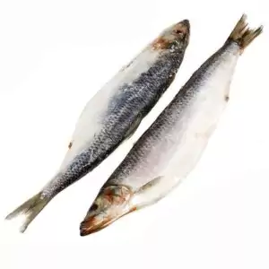 Сельдь свежемороженая купить в розницу