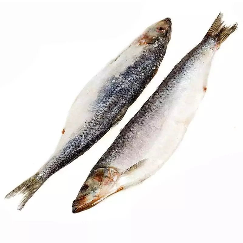 Сельдь свежемороженая купить в розницу