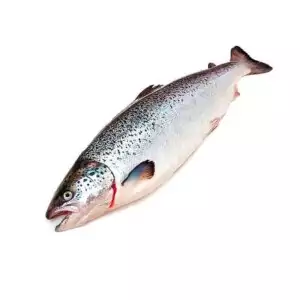 Семга свежемороженная