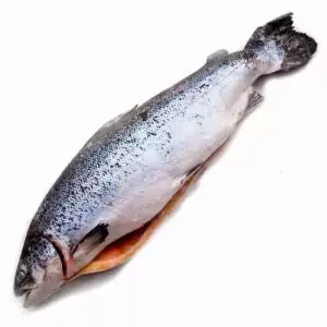 Купить семгу свежемороженую недорого