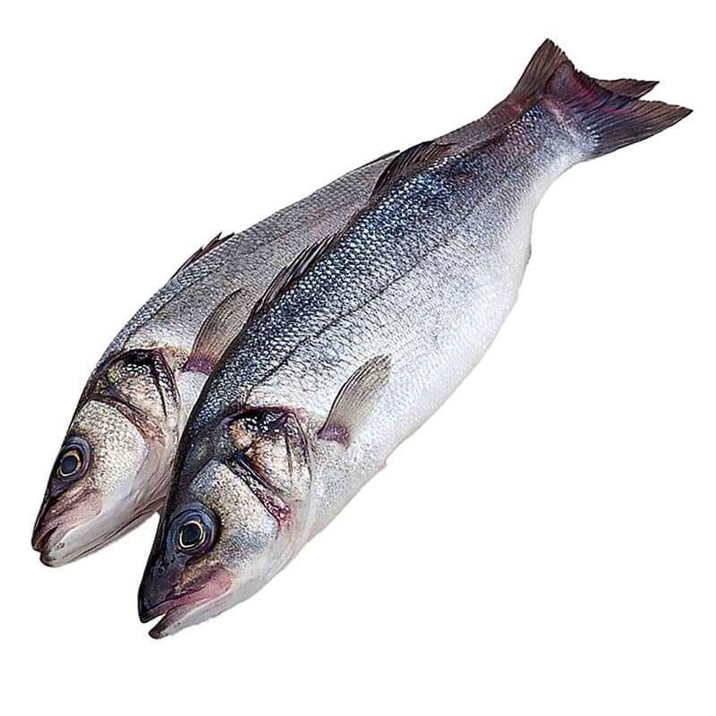 Сибас рыба природная, кто ее посчитал? 