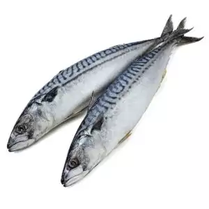 Купить скумбрию свежемороженую в розницу