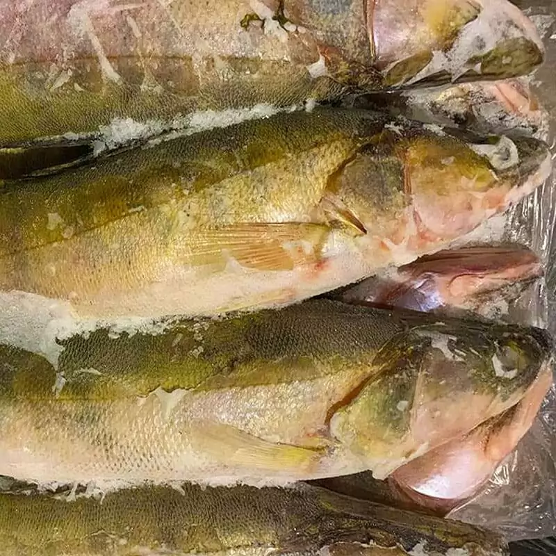 Судак замороженный цена