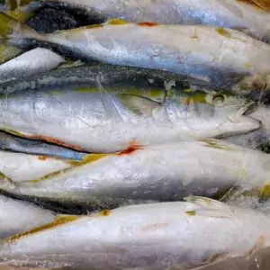 Свежезамороженная Рыба