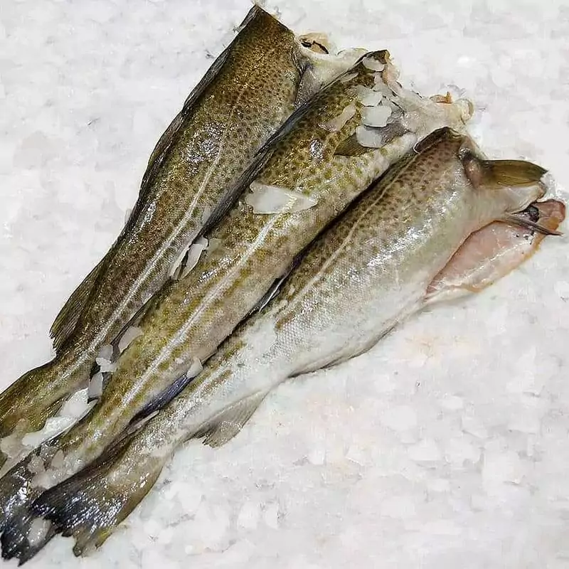 Треска замороженная цена за 1 кг