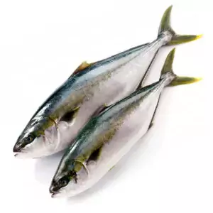 Купить тунец замороженный