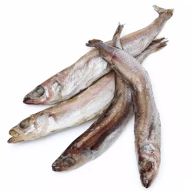 Путассу свежемороженая купить