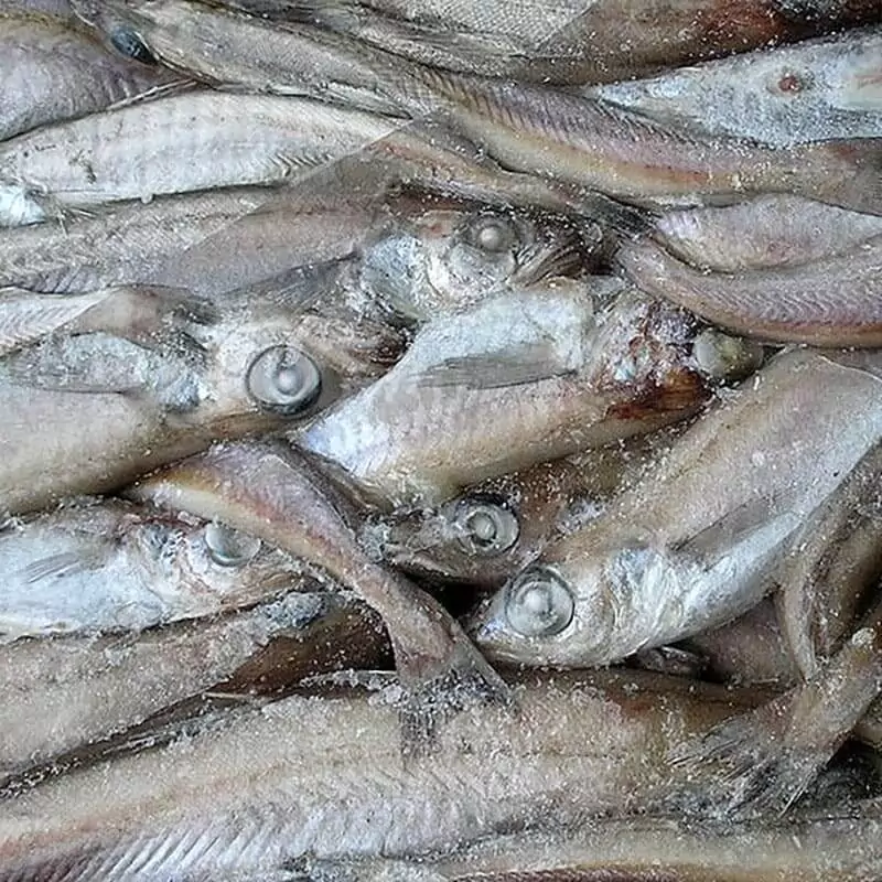 Путассу замороженная цена за 1 кг.