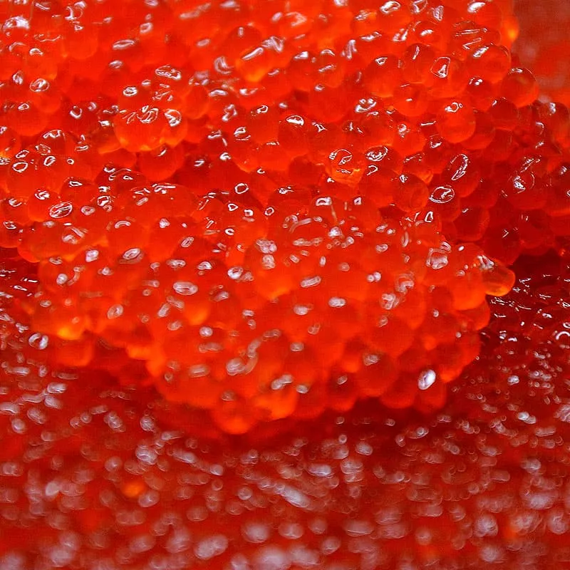 Икра форели цена за 1 кг Карелия