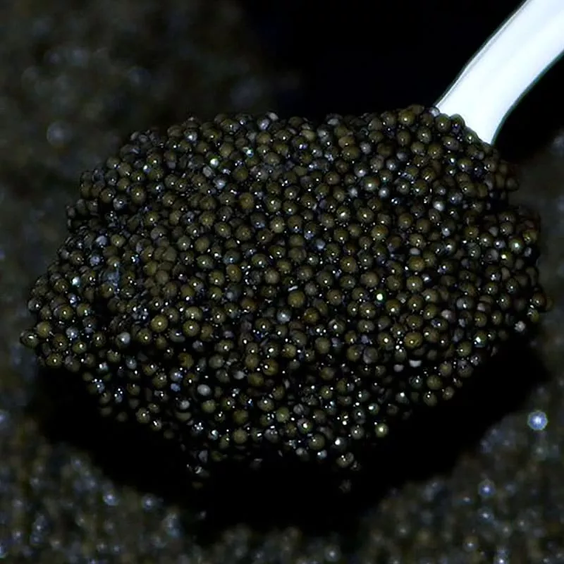 Купить икру палтуса в интернет магазине недорого