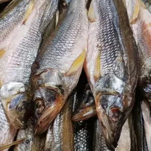 Корюшка дальневосточная вяленая купить в интернет магазине вяленой рыбы с доставкой по Москве