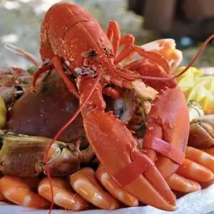 Морепродукты