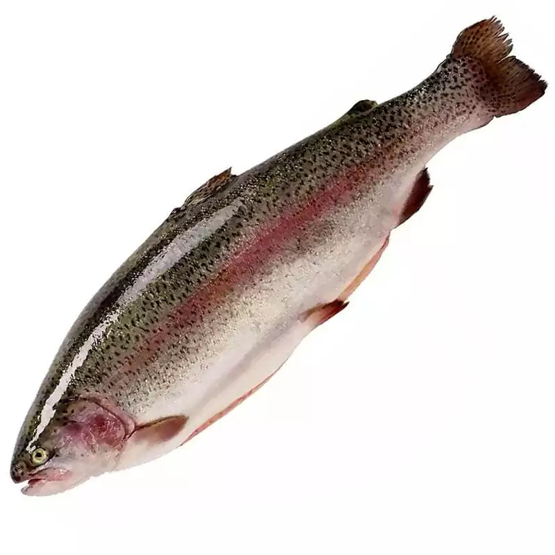 Купить форель охлажденную недорого в интернет магазине с доставкой на дом
