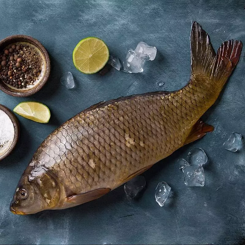 Где купить свежего охлажденного сазана с доставкой на дом