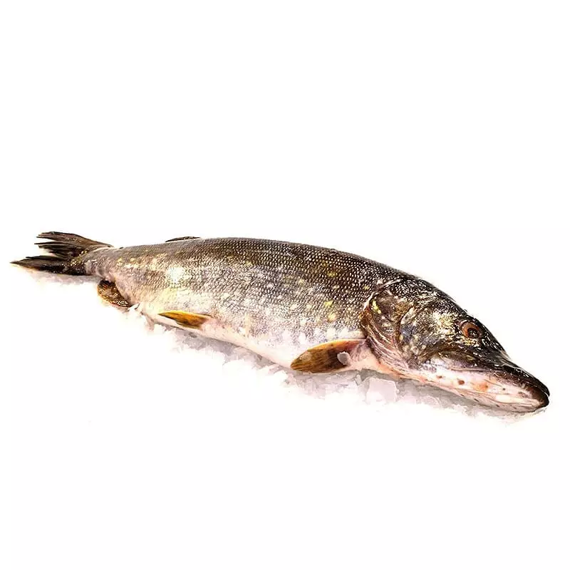 Доставка охлажденной щуки