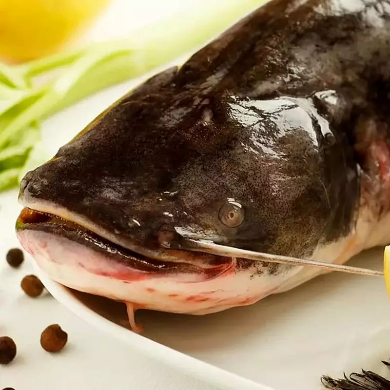 Сом свежий цена за 1 кг с доставкой