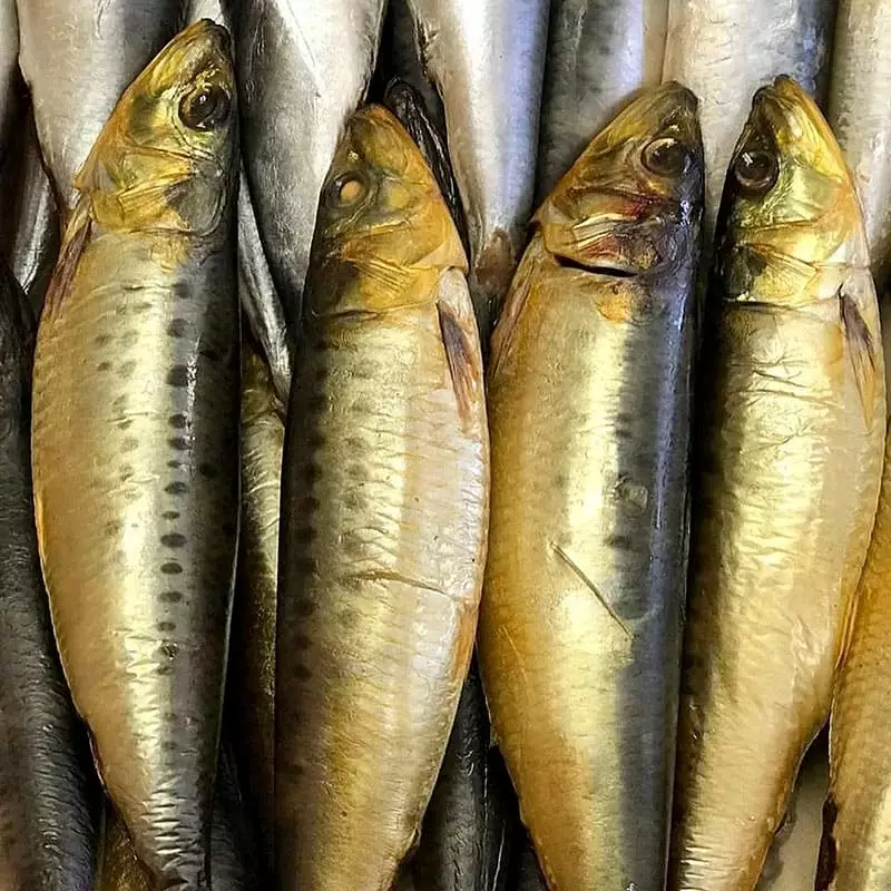 Цена иваси холодного копчения