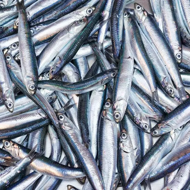 Слабосолена хамса цена в интернет магазине за 1 кг