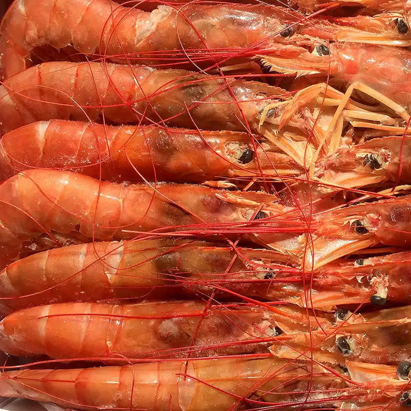Цена на креветки лангустины с головой l1