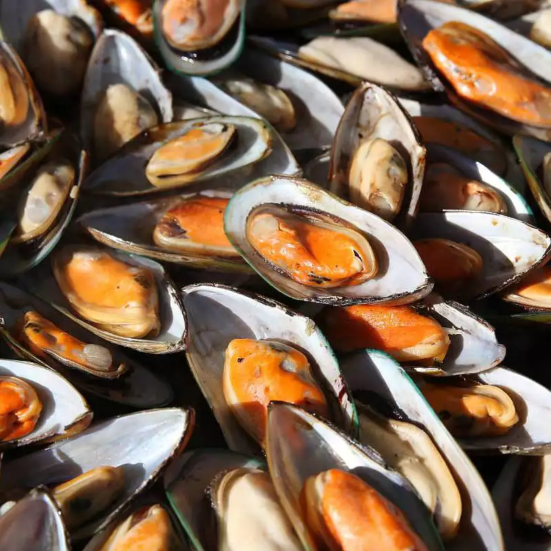 Цена на мидии в створке 40-60